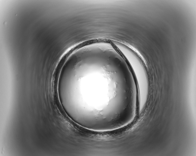 X0000085310983200703161449
