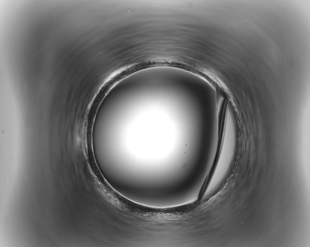 X0000085310984200703161449