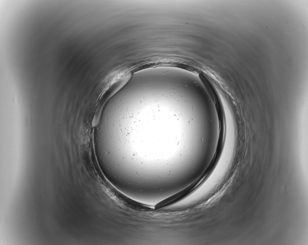 X0000085310985200703161449