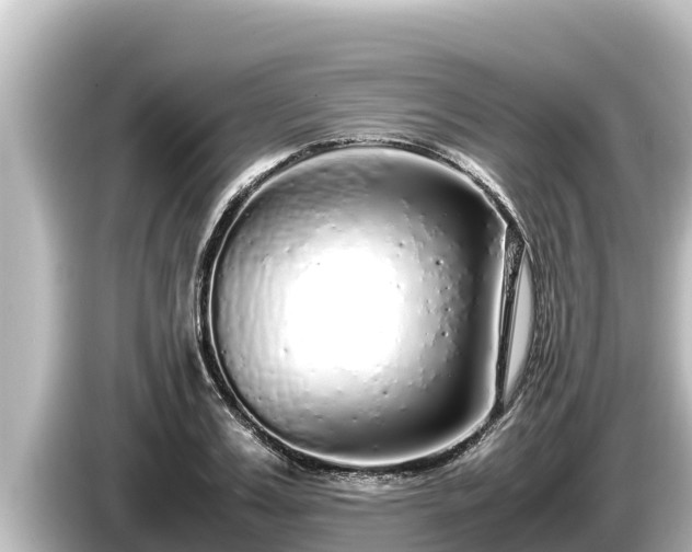 X0000085310987200703161449