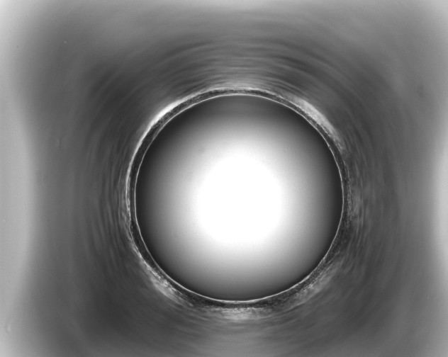 X0000085310988200703161449