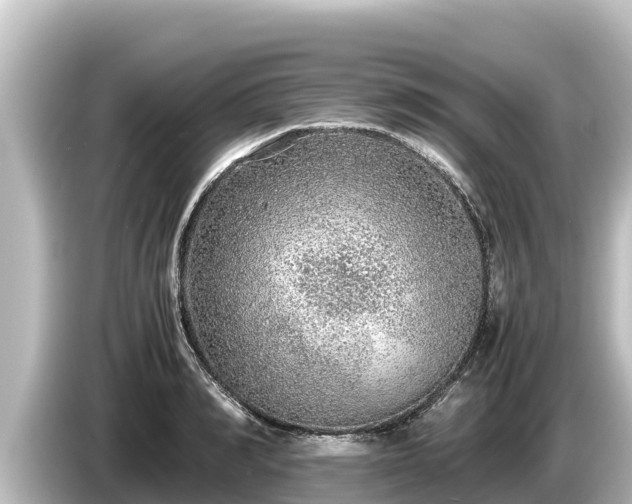 X0000085310990200703161449
