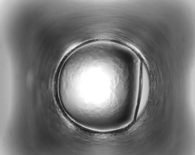 X0000085310991200703161449