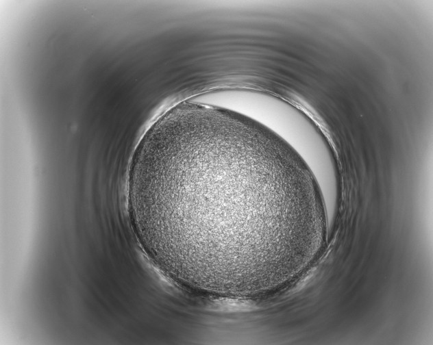 X0000085310994200703161449