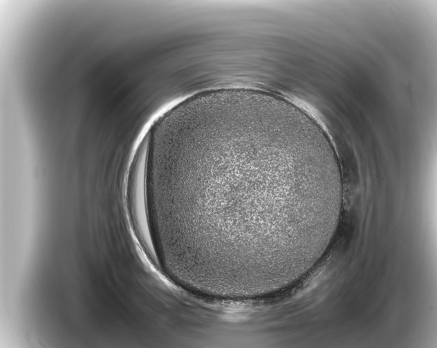 X0000085310995200703161448