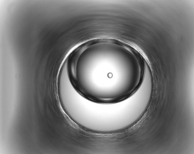 X0000085310996200703161448