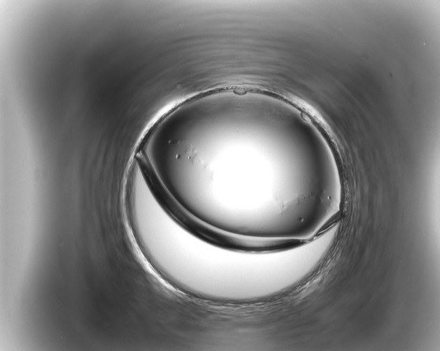 X0000085310999200703161448
