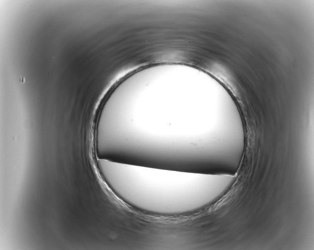 X0000085311000200703161448