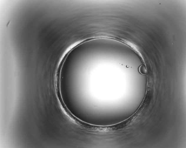 X0000085311003200703161448