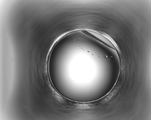 X0000085311004200703161448