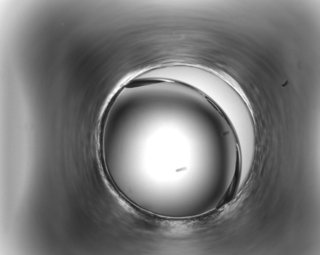 X0000085311005200703161448