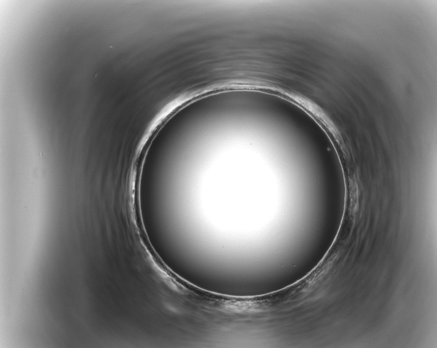 X0000085311006200703161448