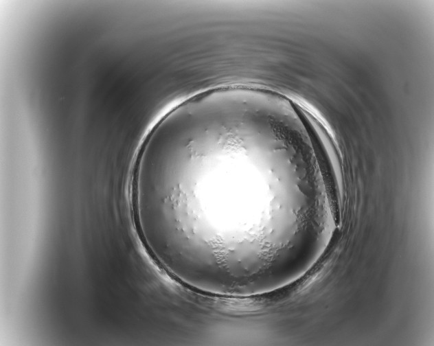 X0000085311007200703161448