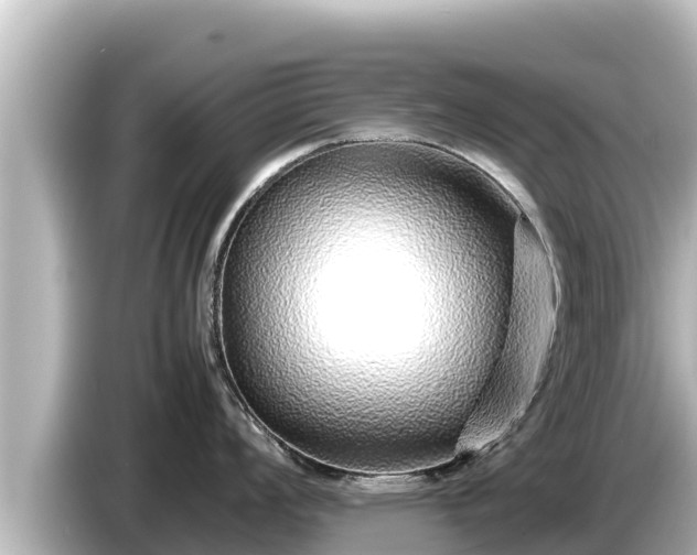 X0000085311008200703161448