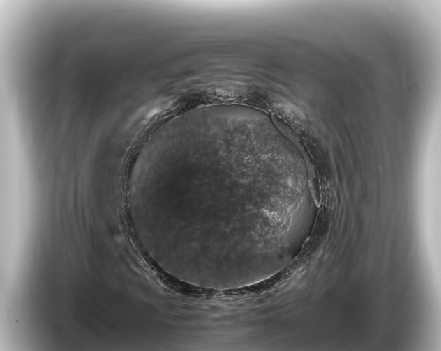 X0000085311009200703161448