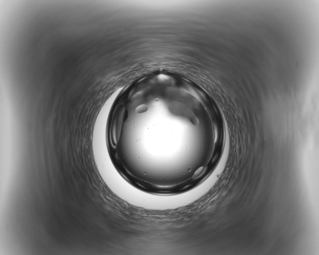 X0000085311010200703161448
