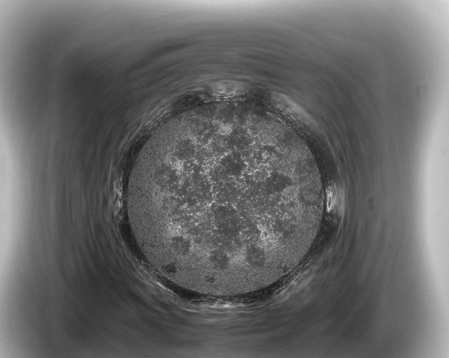 X0000085311011200703161448