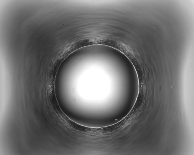 X0000085311012200703161448