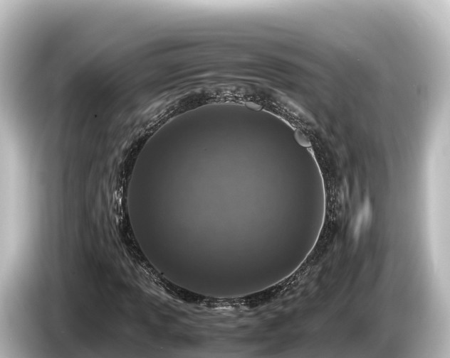 X0000085311013200703161448