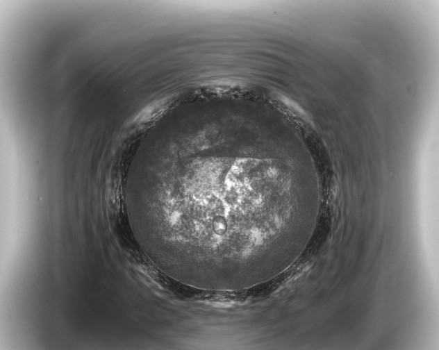 X0000085311014200703161448