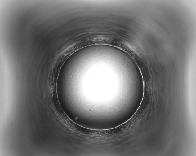 X0000085311015200703161448
