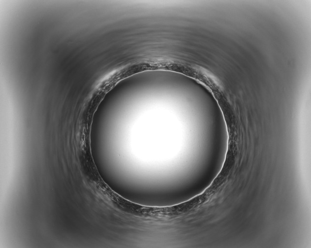 X0000085311016200703161448