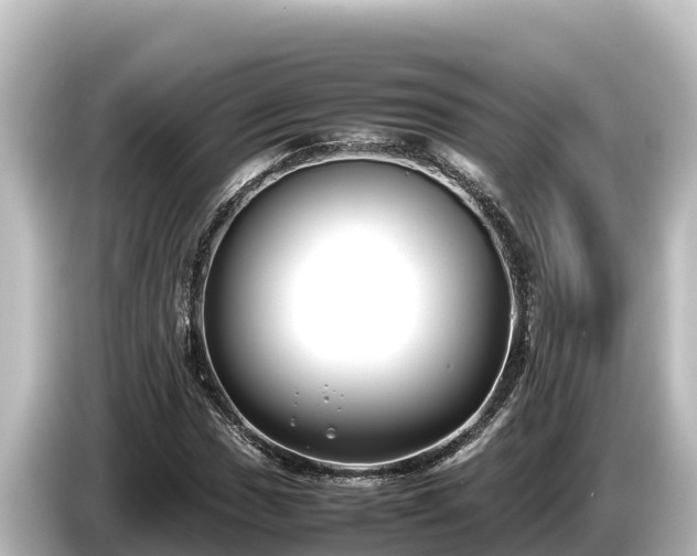X0000085311017200703161448