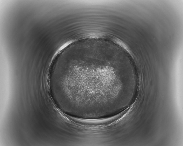 X0000085311018200703161448
