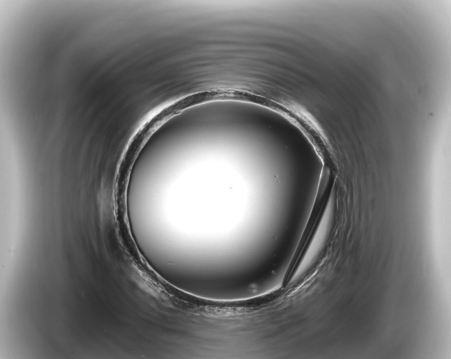 X0000085311020200703161448