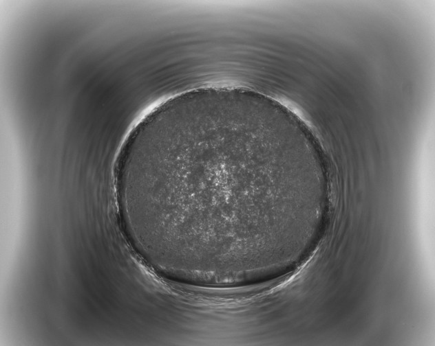 X0000085311022200703161448