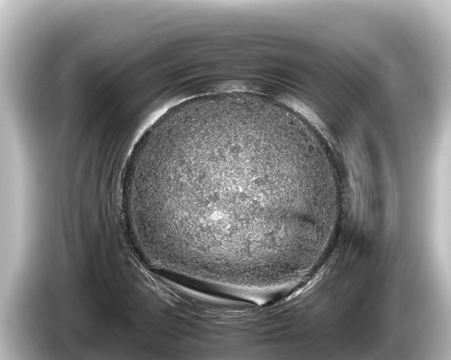 X0000085311023200703161448
