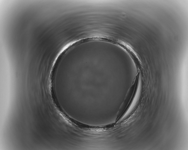 X0000085311024200703161448