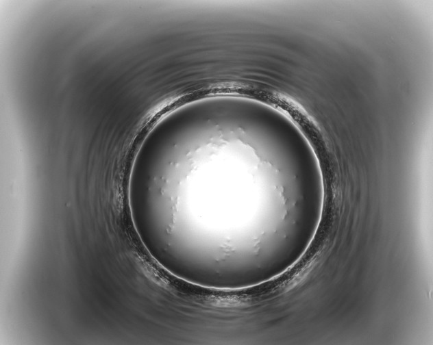 X0000085311025200703161448
