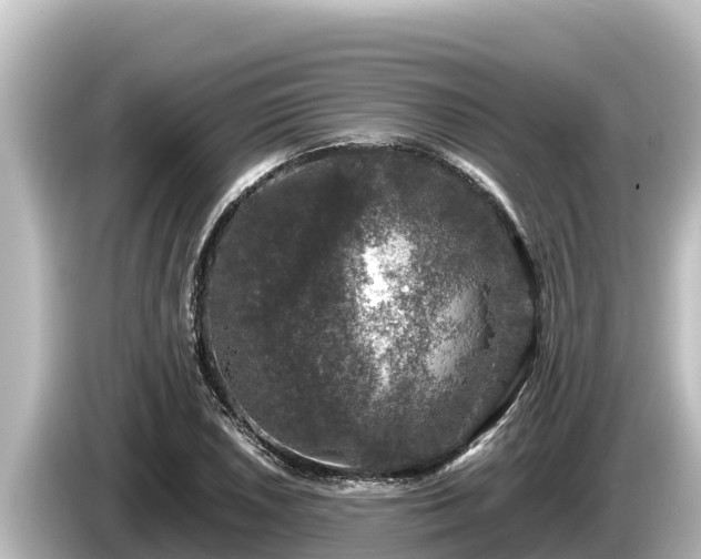 X0000085311026200703161448