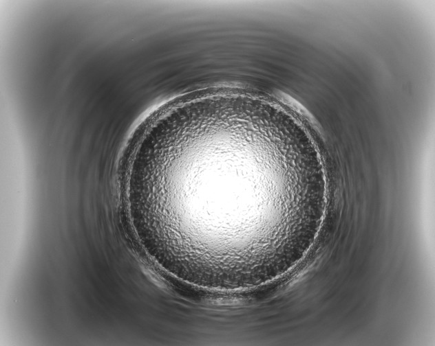 X0000085311027200703161448