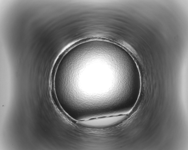 X0000085311028200703161448