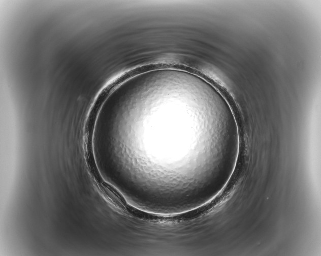 X0000085311029200703161448