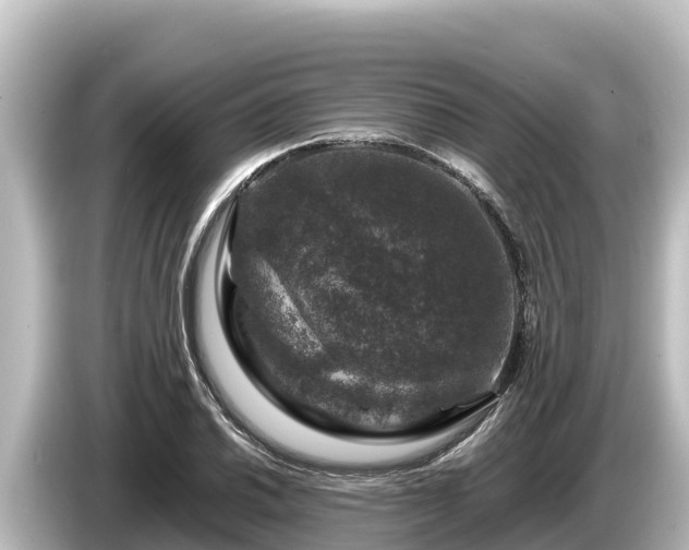 X0000085311030200703161448