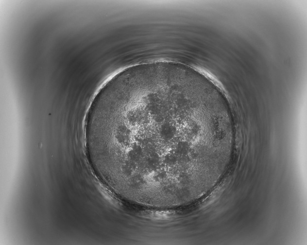 X0000085311031200703161448