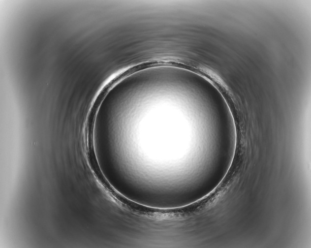 X0000085311032200703161448