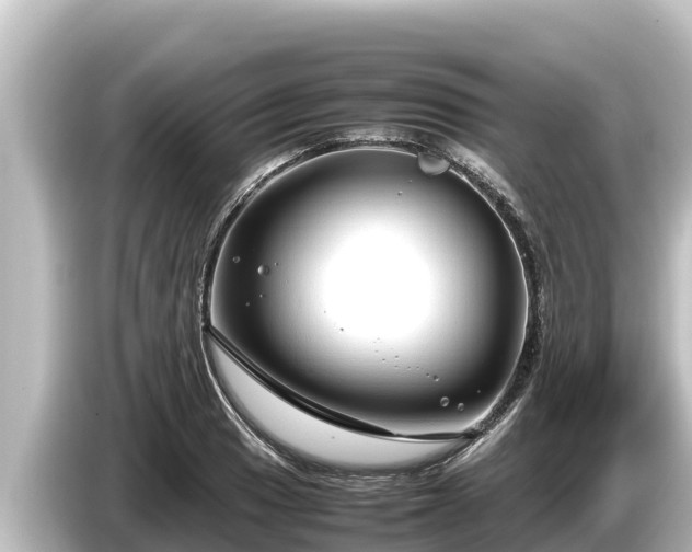 X0000085311033200703161448