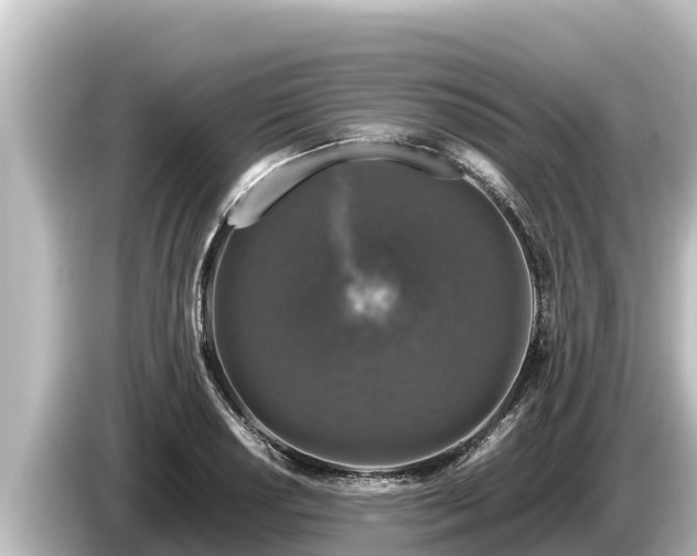 X0000085311034200703161448