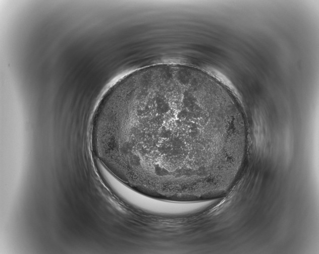 X0000085311035200703161448