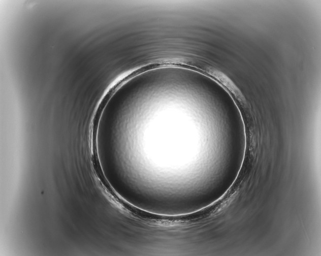 X0000085311036200703161448
