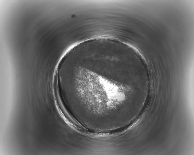 X0000085311038200703161448