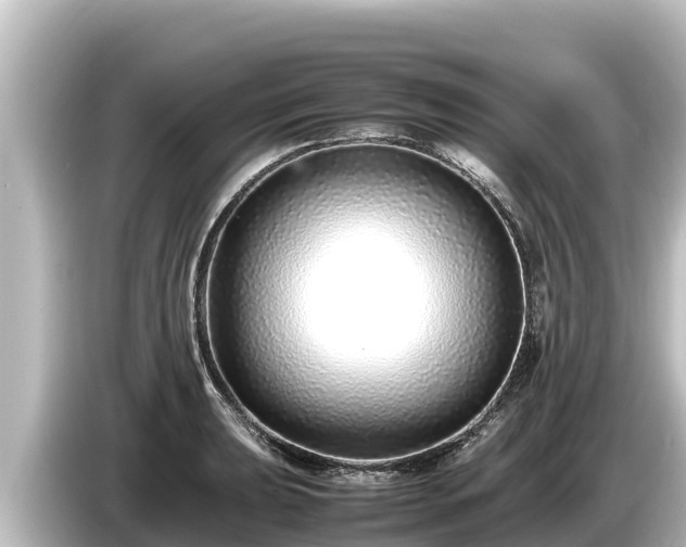 X0000085311039200703161448