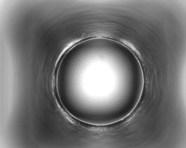 X0000085311040200703161448