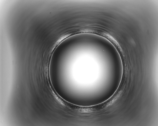 X0000085311041200703161448