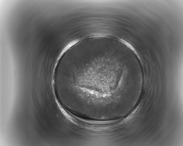 X0000085311042200703161448