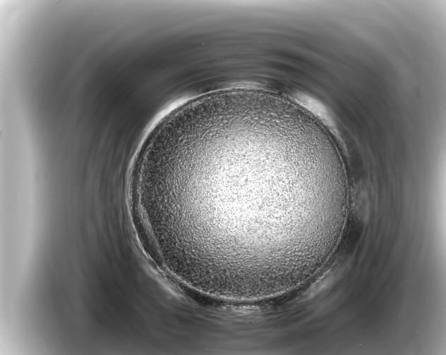 X0000085311043200703161448
